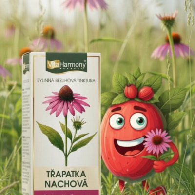 Tinktura - Echinacea purpurea - 100 ml