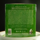 Green Tea 100 n.s. Ahmad