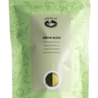 Snow Buds 30 g - Oxalis