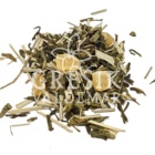 Savana Green z.č. 1 kg GREŠÍK Čaje 4 světadílů