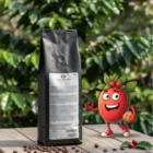 Etiopie Yirgacheffe - káva 0,5 kg - Oxalis