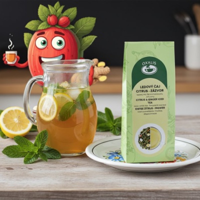 Ledový čaj Citrus - zázvor 50 g - Oxalis