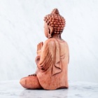 MEDITUJÍCÍ BUDDHA DŘEVĚNÁ SOŠKA 1 (XL) 20cm 350g
