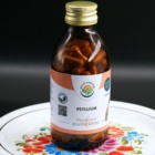 Psyllium kapsle 120 ks
