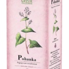 Pohanka 20 n.s. GREŠÍK