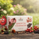 Ovocný čaj s echinaceou 20 n.s. přebal GREŠÍK