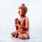 MEDITUJÍCÍ BUDDHA DŘEVĚNÁ SOŠKA 1 (XL) 20cm 350g