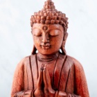 MEDITUJÍCÍ BUDDHA DŘEVĚNÁ SOŠKA 1 (XL) 20cm 350g
