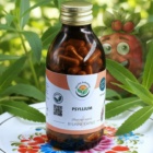 Psyllium kapsle 120 ks