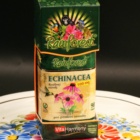 Echinacea 500 mg (90 tbl.) - Rainforest