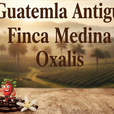 Guatemala Antigua Finca Medina SHB - káva 0,5 kg - Oxalis