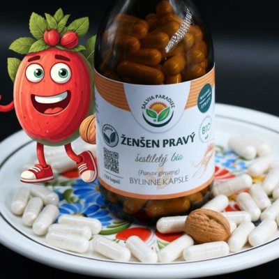 Ženšen pravý 6letý - ginseng kapsle BIO 120 ks