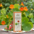 Lichořeřišnice kapky 50 ml GREŠÍK-Z-40% líh, Bylinné kapky
