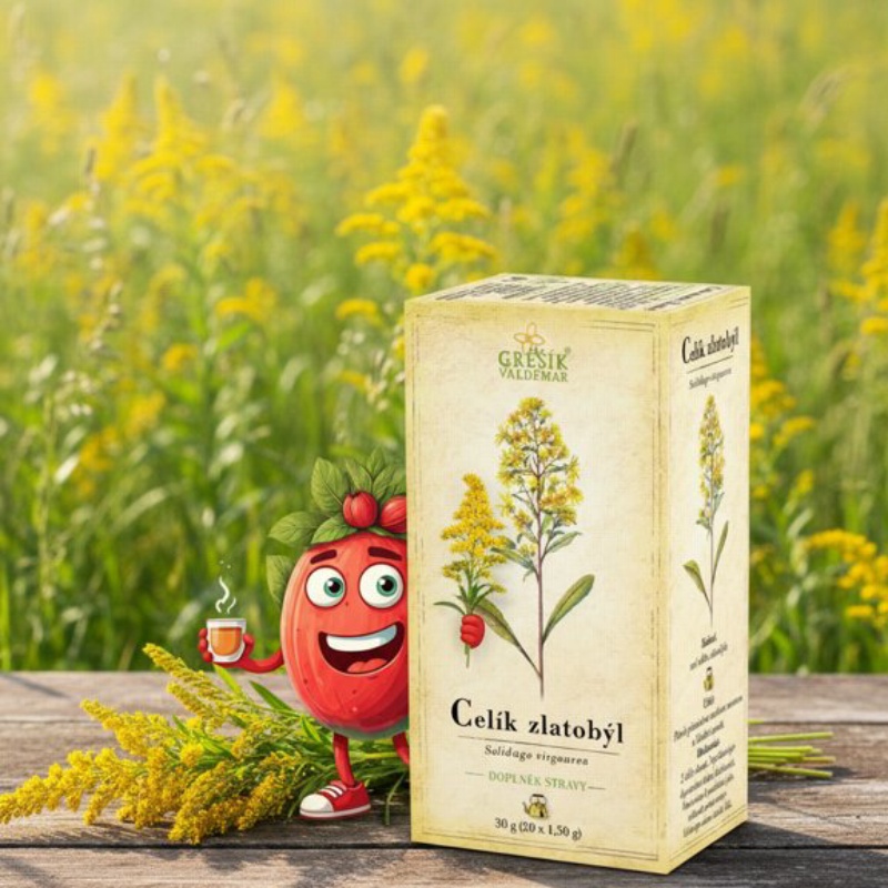 Celík zlatobýl 20 n.s. GREŠÍK