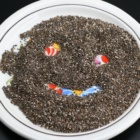 Chia semínka 1 kg