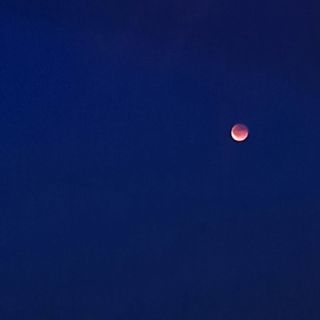 Zatmění měsíce v úplňku 🌚😁 https://www.ebyliny.cz/ #ebyliny #ebylinak #zdravi #zdravyzivotnistyl #healthylifestyle #relax...
