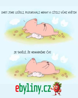 Všem přeji krásný víkend. Užijte si ho podle sebe 😊❤️❤️ https://www.ebyliny.cz/ #ebyliny​​ #ebylinak​​ #odpočinek #relax​​...